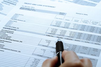 Profit & Loss | Sandra Silk Bookkeeping