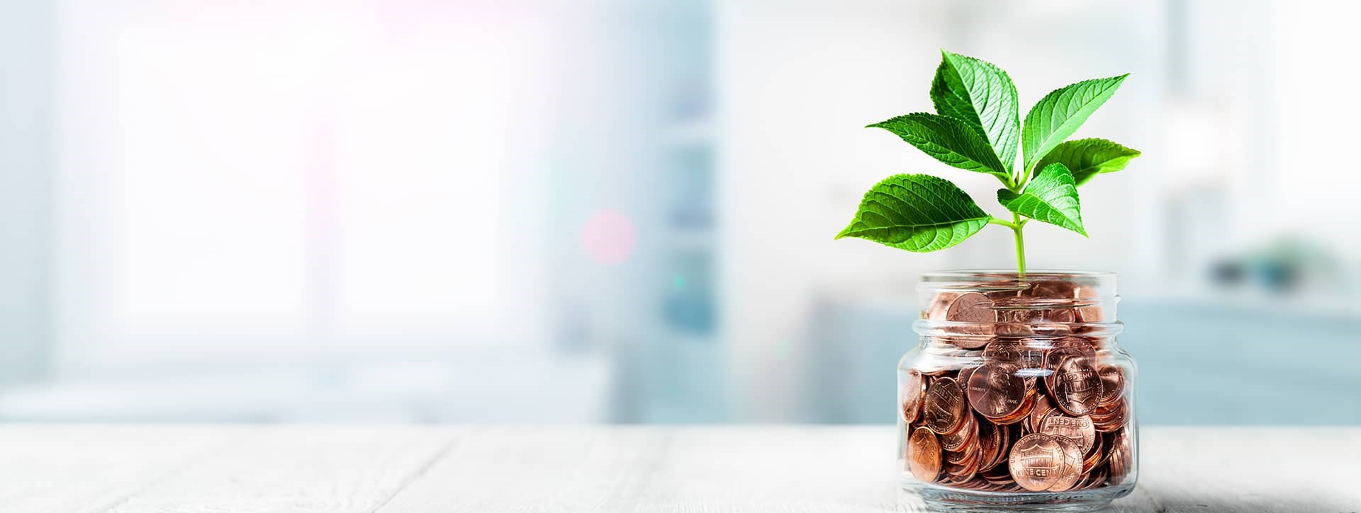 Business Growth   Sandra Silk Bookkeeping